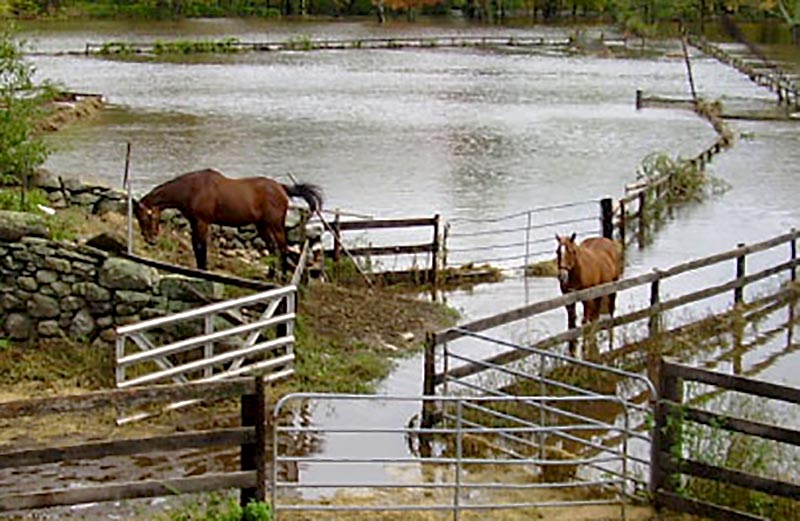 horses-in-flood Emergency Preparation Info for Farmers